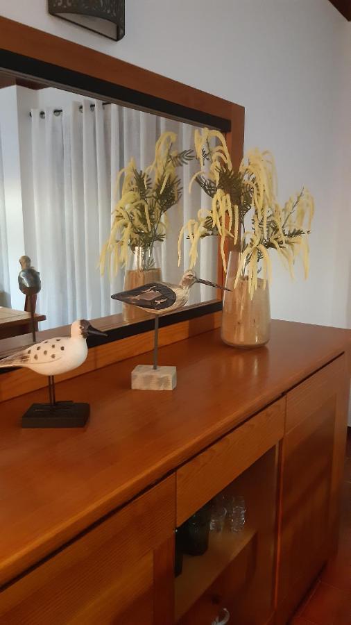 Joanita Beach Apartment Holidays 拉哥斯 外观 照片